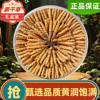 Cordyceps sinensis tibetan area first batch of fresh dried cordyceps sinensis in the snow area, various specifications, high-quality high-end gift box for giving as a gift, tibetan cordyceps 2 cords 1g, total 100 cords