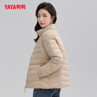 Ducky thin stand collar short women's down jacket winter simple fashionable women's elegant small coat