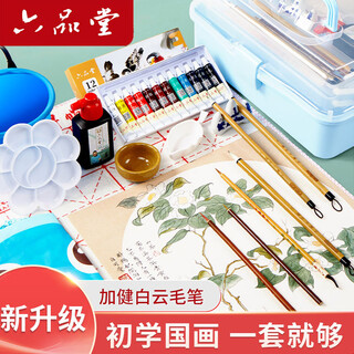 Liupintang chinese painting set for beginners 12-color chinese painting supplies and tools, a complete set of ink painting entry-level advanced meticulous painting, elementary school students and children's brushes, chinese painting pigments, 19-piece set