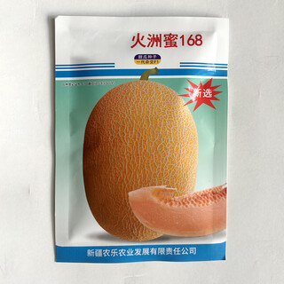 Long-term cultivation sweet korean reticulated hami melon seeds xinjiang melon fruit melon seeds seedlings spring southern four seasons seeds xinjiang huozhou honey 168 melon seeds 50g original