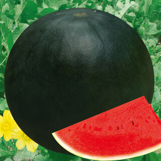 New varieties of beishu kirin watermelon seeds, lazy man, southern meidu watermelon seeds, jade kirin watermelon seeds, 10 capsules