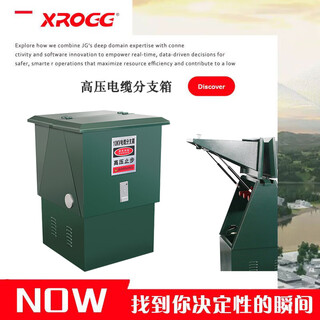 Xirong 10kv high voltage cable branch box dfw-12/630 one in and two out outdoor european style branch box stainless steel dfw-12* cold rolled iron one in and one out