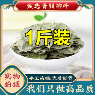 Jiujiuheren qingqianliu ye chinese herbal medicine authentic qianqianliu tea qingqianliu tea bubbled water burdock corn silk mulberry leaf health tea selection qingqianliu ye 250g bag