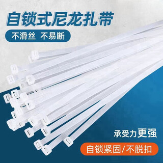 Tianyi national standard nylon cable ties, large and small plastic cable ties, strong cable ties, self-buckle binding cable ties, black and white wire storage 100 pieces, national standard white 3*300 2.7mm wide*30cm long 100 pieces