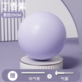 Doufengmu pelvic floor muscle small ball yoga ball thickened explosion-proof sports fitness ball pilates training fitness core yoga equipment lilac purple diameter 25cm-upgraded thickened ball wall/