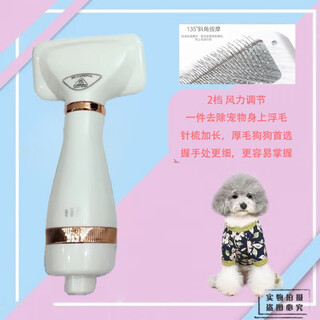 Oimg dog hair dryer, quick-drying fluffy comb, cat bathing and combing artifact, fifth generation white, dual-speed adjustment + constant temperature + plug-in