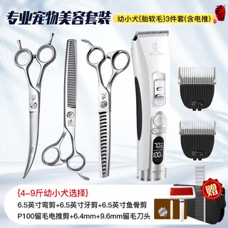 Xuanniao teddy bichon grooming scissors pet scissors set dog shearing and trimming scissors recommended by beauticians one set 6-piece set | see pictures for details for young dogs