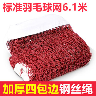 羽毛球网标准网室外户外家用简易折叠羽毛球网架便携式比赛网子 普通羽毛球网（2.5网孔不带包）