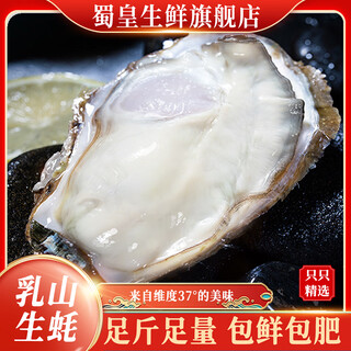 Shuhuang rushan oysters, fresh oysters, 10 jin jin equal to 0.5 kg, net weight 4xl (18-26 pcs), direct from source, free shipping