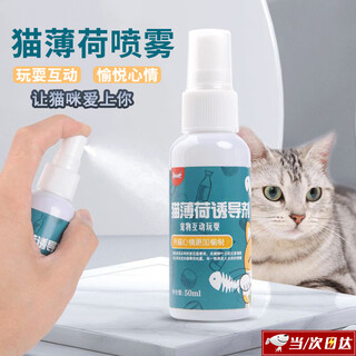 Shantou lincun cat mint spray mutian polygonum cat happy water inducer cat grass perfume spray funny cat self-happiness cat toy 50ml