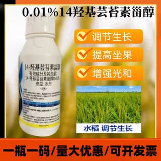 14 hydroxybrassinosteroid plant growth regulator pesticide rice regulates growth and promotes root development 100ml