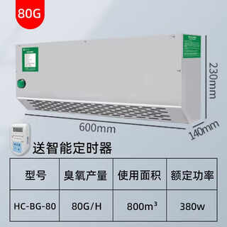 Ingenuity huachuang wall-mounted ozone generator garbage room deodorization air purification food factory workshop ozone sterilization and disinfection machine hc-bg-80 applicable area 240-800m - timer