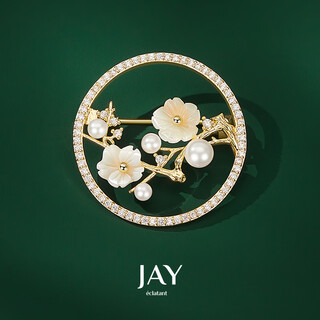 Jay plum blossom brooch, corsage, female accessories, birthday gift for mother, mother-in-law, elders