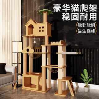 御宠坊麻绳猫爬架家用顶天立地猫爬架通天柱猫爬架猫窝一体四季通用 安蒂拉