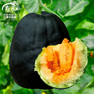 Shouhe green skin melon seeds large whole melon black skin melon seeds 100 capsules x 5 dry noodles fragrant
