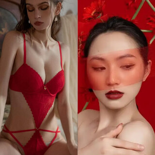 Victoria palace jumpsuit red underwear zodiac year lace sexy underwear french small breast push up micro shaping bra red 85b 38