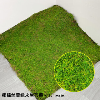 Elegant artificial moss decoration landscaping artificial turf window display moss micro landscape fake green plant bonsai coconut palm silk yellow green immortal moss about 1m*1m