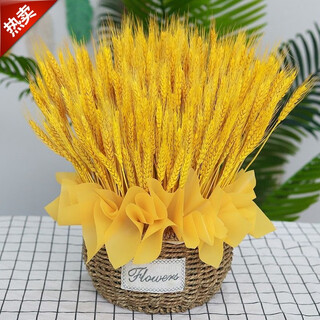 Xushansi natural golden wheat ears opening barley flower arrangement flower basket bouquet dried flowers living room decoration props ornaments hand golden wheat ears 400 flower basket large size