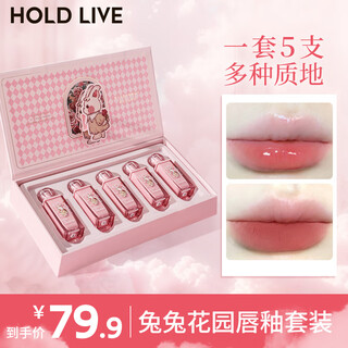 Hold live retro garden lip glaze gift box matte water gloss matte bunny lipstick set for women whitening and moisturizing bunny garden gift box