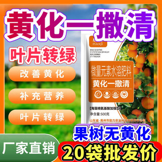 骠骑黄化一撒清撤花改善叶片黄化转绿灵柑橘黄化套餐强健树势骠骑微生 1千克*1袋