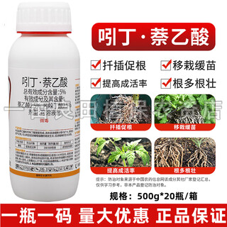 Indole naphthalene acetic acid 5% indole butyric acid fruit tree flower transplanting cuttings strong root root root strengthening liquid powder 500g*2 bottles