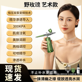 Konka oxygen injection instrument household hydration instrument facial portable handheld high-pressure sprayer nano beauty instrument wild rose green-nicotinamide version