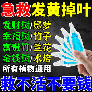 植物再生剂发财树专用营养液水培肥料室内外盆栽植物营养液通用型 拍5发9【植物茁壮成长】