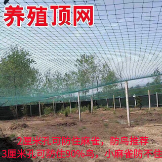 Shuaimi fruit tree anti-bird cover, anti-bird net, orchard nylon net, grape net, cherry net, breeding net, chicken net, duck net-customized
