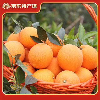 Xinfeng navel orange orchard direct delivery of fresh oranges picked on the same day, gannan navel orange wang daguo, high-quality navel oranges, ten jin jin is equal to 0.5 kilograms, sf express in some areas