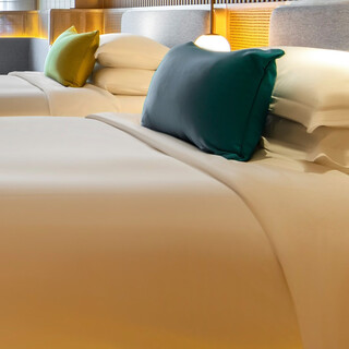 Superior twin room free parking | free gym | self-service washing and drying | panoramic floor-to-ceiling windows