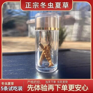冬虫夏草野虫草冬虫夏草生精选滋补品正品虫草冬虫夏草礼盒送长辈 藏区正宗虫草0.2克五条试吃装