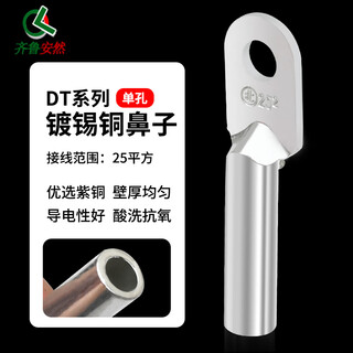 Qilu anran dt tinned copper nose wire nose cold-pressed wiring nose copper wire nose copper wire lug wiring 25 square meters single hole 5 pieces