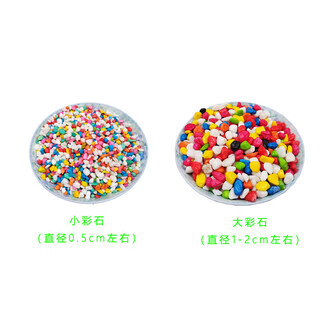 Runhuanian succulent paving stone small colored stone flower pot green plant white stone colorful stone potted flower growing stone decoration 4g small colored stone + 4g large colored stone