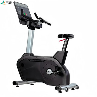 Weibu wb-5016 commercial vertical magnetic control exercise bike home gym indoor cycling pedal exercise bike weibu wb-5016 vertical exercise bike