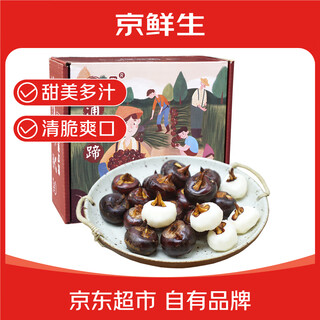 Jingxiansheng guangxi lipu water chestnut 2.4jin jin equals 0.5kg guangxi specialty gift box fresh water chestnuts