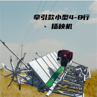 水田自动栽苗机6行水稻插秧机秧苗种植机手扶式四行插禾机 汽油机