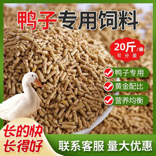 Large grain full-price feed for adult ducks, duck feed for eggs, ducks, meat and ducks, general large duck feed 2jin jin equal to 0.5kg.