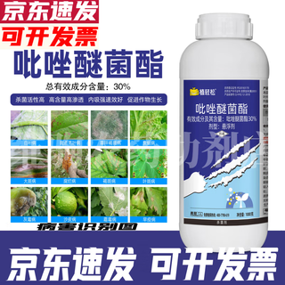 Pyraclostrobin 30% pyraclostrobin downy mildew powder anthracnose leaf spot rice blast fungicide 500g*10 bottles