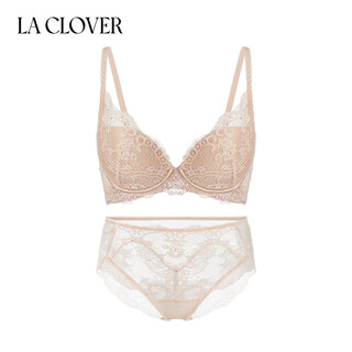 La clover24ss neoclassical elegant lace sexy underwear women's bra panty set lc2024119 skin pink - push-up thick cup bra set 75b 160