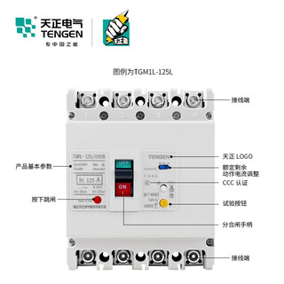 Tianzheng electric tgm1l plastic case leakage circuit breaker air switch with leakage protection +n 160a 3p