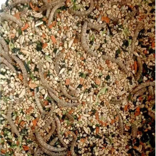 Special feed for rutin chicken, rutin chicken egg production feed, mealworm brooding feed, quail feed, high protein 3jin jin is equal to 0.5 kg, egg production food containing mealworms, dried vegetables