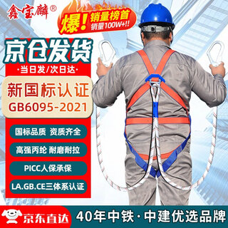 Xinbaolin high-altitude work full-body safety belt safety rope anti-fall polypropylene european-style five-point safety belt. consult customer service for large quantities. european-style five-point double hook 2 meters (shipped from beijing warehouse)