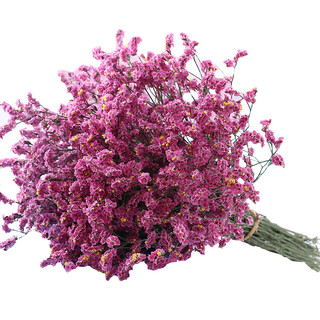 Aiman yunnan forget-me-not real flowers dried flower bouquet home furnishings small fresh living room gypsophila flower arrangement theory jin jin is equal to 0.5 kg. sell a bouquet of red crystal flowers and dry branches.