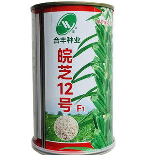 Hybrid white sesame seeds wanzhi no. 12, disease-resistant, lodging-resistant, high-oil, high-yielding sesame seeds for field base wanzhi no. 12 original 100g hybrid