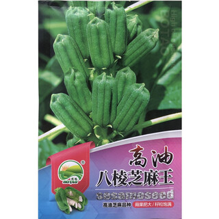 Кунжутные палочки, капсула, плотные и долговечные, устойчивые к болезням и полеганию, семена черного кунжута для посева весной, летом и осенью, высокомасляные восьмигранные кунжутный король оригинальный 100г восьмигранный