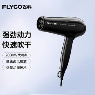 Flyco hair dryer, household high-power negative ion hair dryer, hair care, strong wind, quick drying, light, compact, portable, professional salon hair dryer, 2000w high power, foldable fh6231