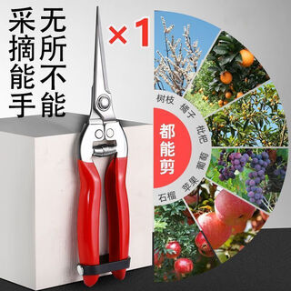 Yanran stainless steel fruit picking scissors, gardening scissors, pruning shears, imported grape pitaya scissors, special scissors for picking pepper, stainless steel fruit picking scissors, 1 pair