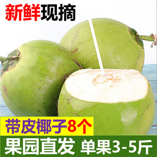 Gan guo has an appointment with hainan green coconut fresh coconut with skin green coconut for pregnant women to supplement amniotic fluid coconut green coconut for pregnant women freshly picked 4 fruits with skin