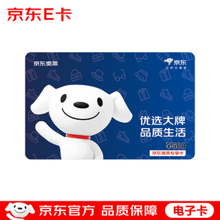 Jingdong outlet exclusive card 500 face value (electronic card)