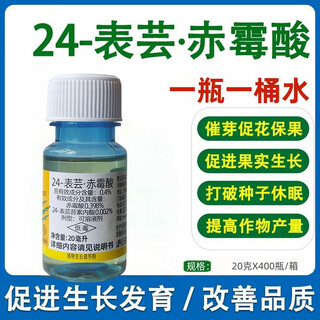 24 table brassica gibberellic acid gibberellin tea germination grape plum fruit tree flower and fruit preservation medicine special pesticide pesticide 1000g 20g x 50 bottles